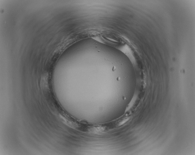 X0000070340217200606301749