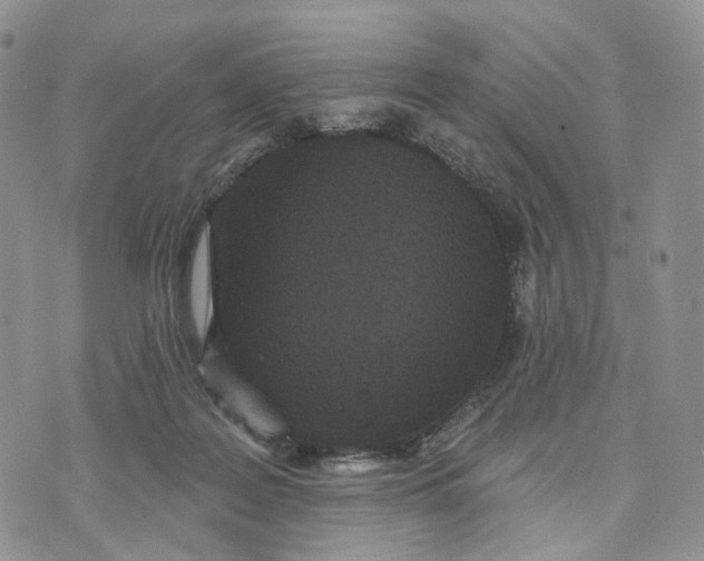 X0000070340219200606301749