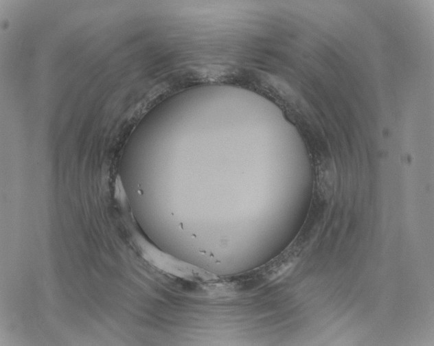 X0000070340221200606301749