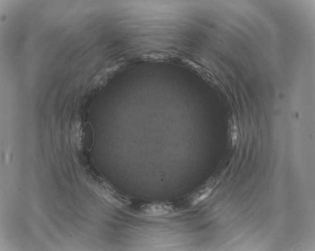 X0000070340223200606301749