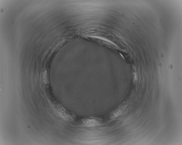 X0000070340224200606301749