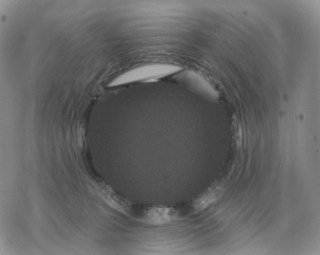 X0000070340227200606301749