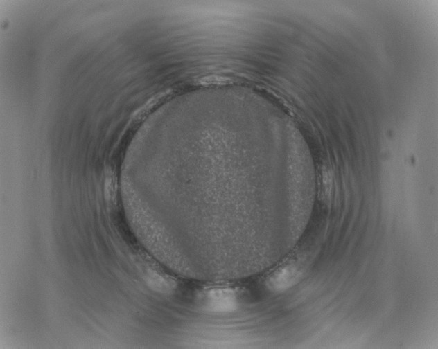 X0000070340228200606301749