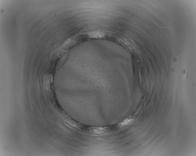 X0000070340229200606301749