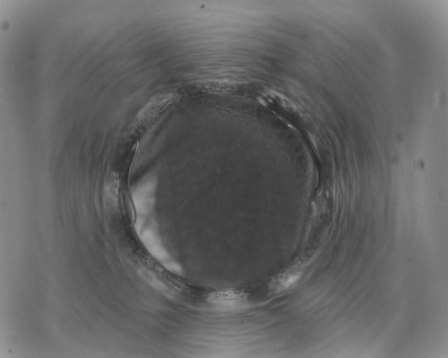 X0000070340231200606301748