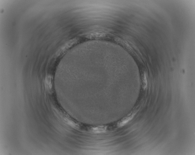 X0000070340232200606301748