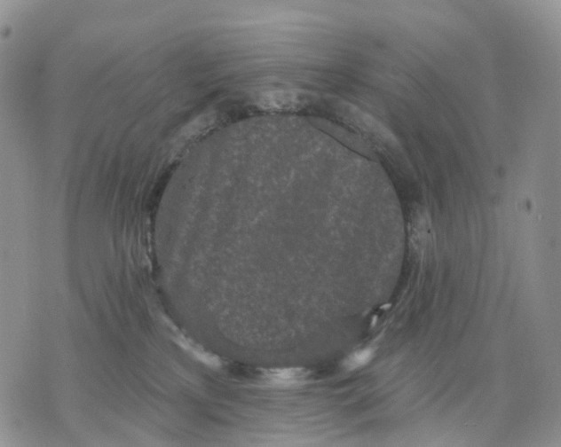 X0000070340233200606301748