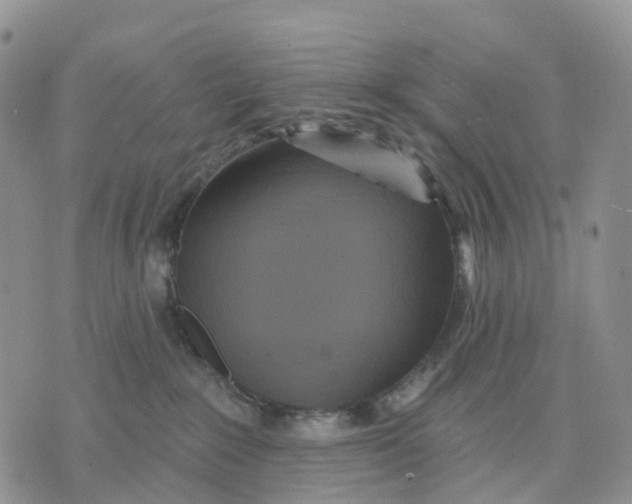 X0000070340235200606301748