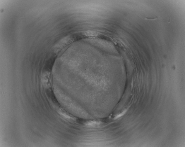 X0000070340237200606301748