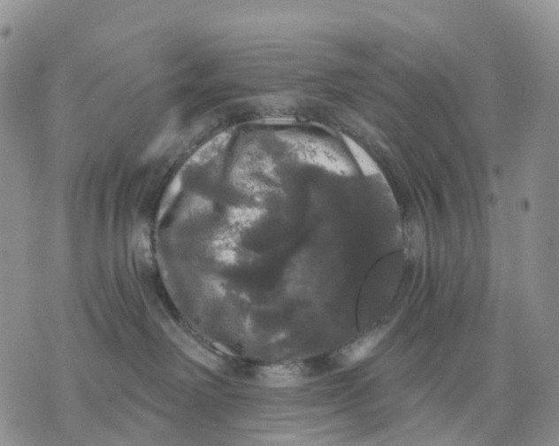 X0000070340238200606301748