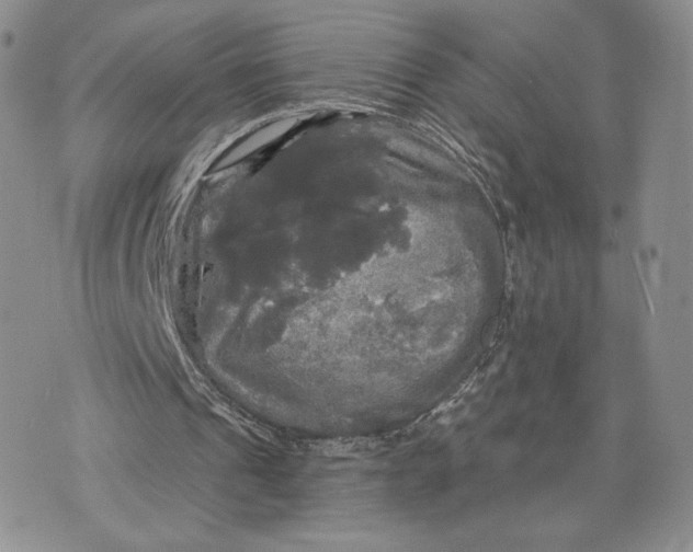 X0000070340241200606301748