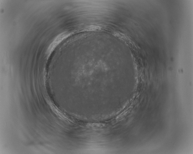 X0000070340242200606301748