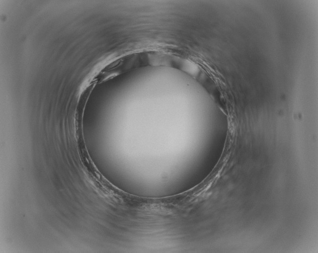 X0000070340244200606301748