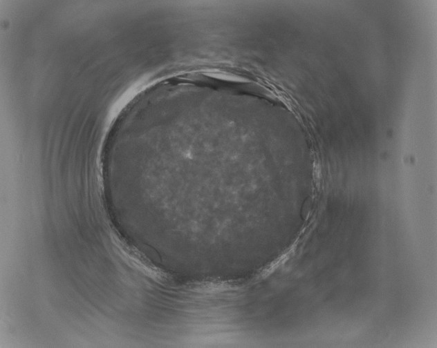 X0000070340246200606301748