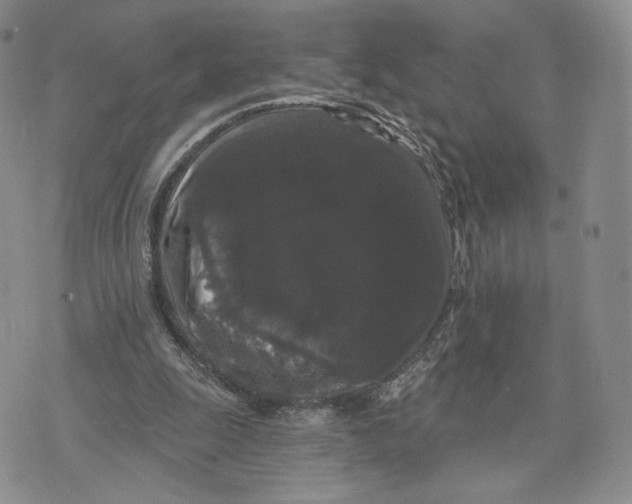 X0000070340247200606301748