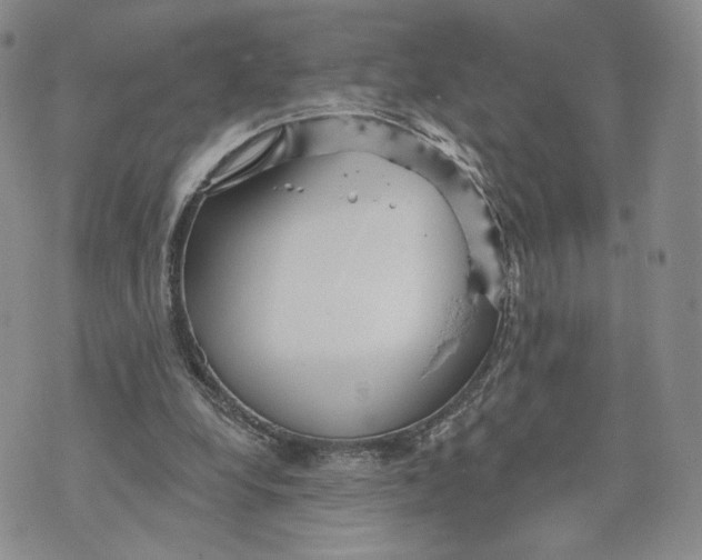 X0000070340248200606301748