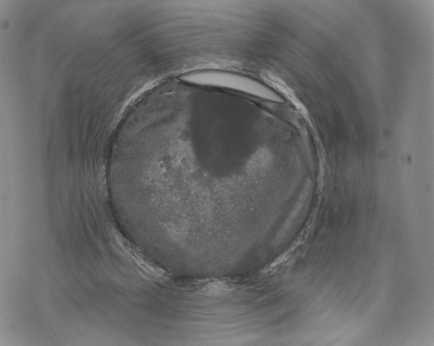 X0000070340249200606301748