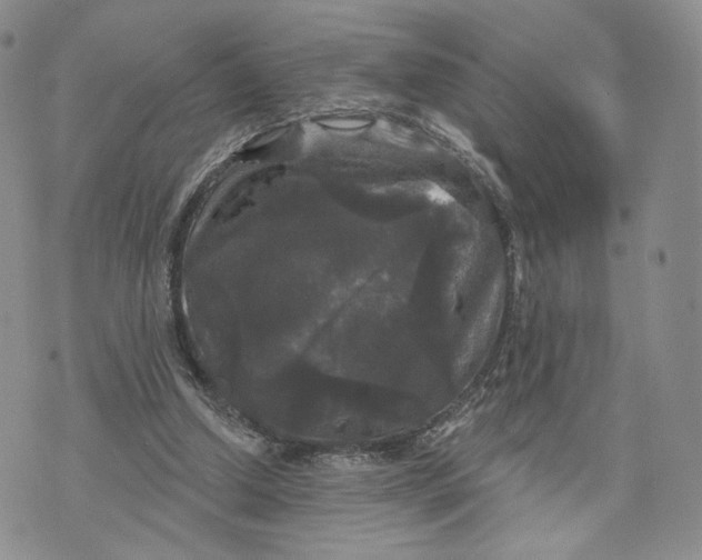 X0000070340250200606301748