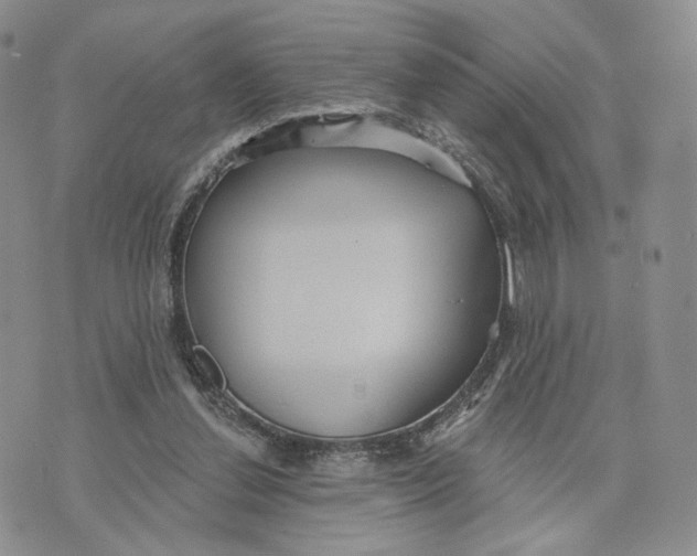 X0000070340252200606301748