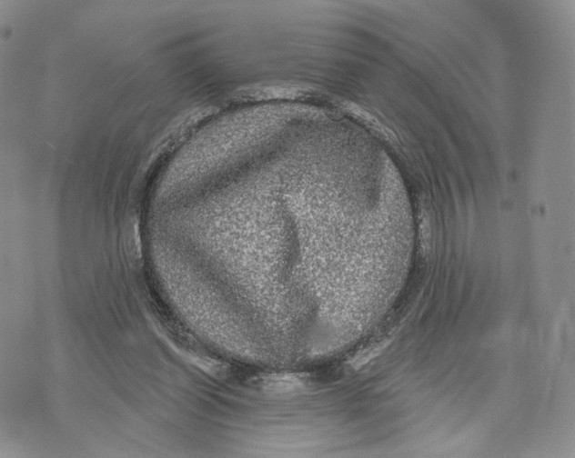 X0000070340254200606301748