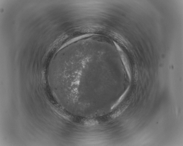 X0000070340258200606301748