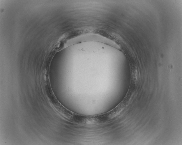 X0000070340264200606301748