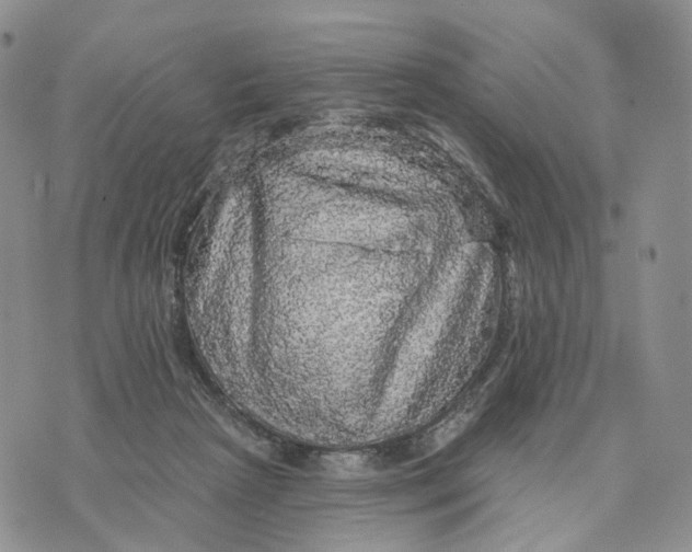 X0000070340265200606301748