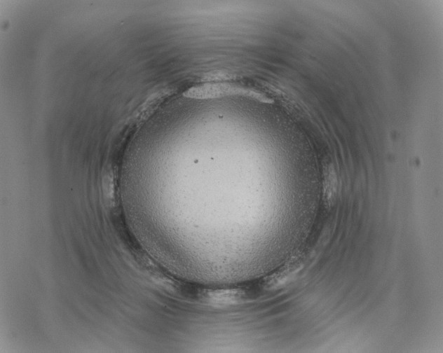 X0000070340268200606301748