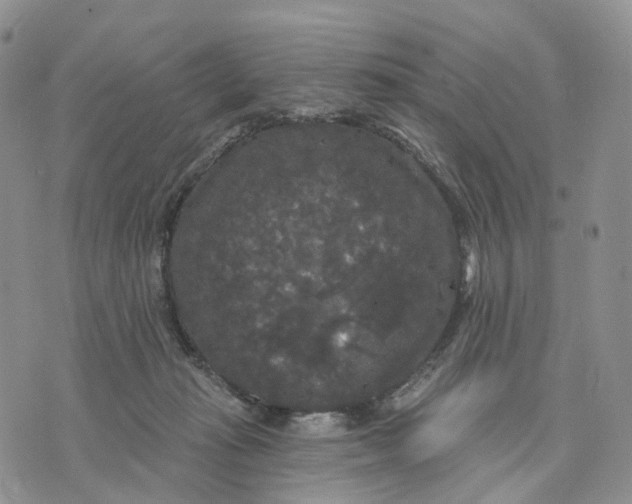 X0000070340269200606301748