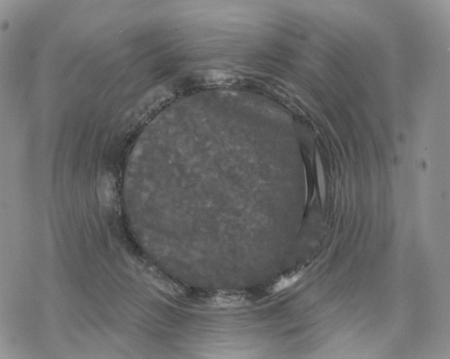 X0000070340270200606301748