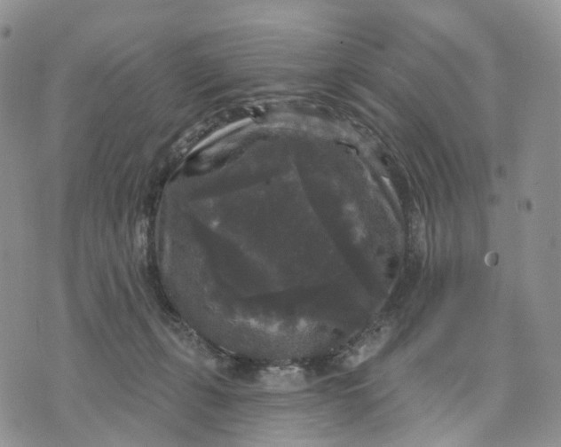 X0000070340271200606301748