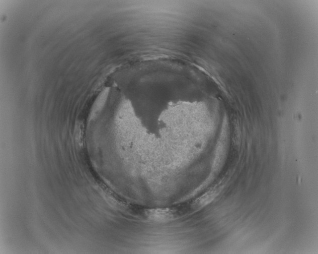 X0000070340273200606301748