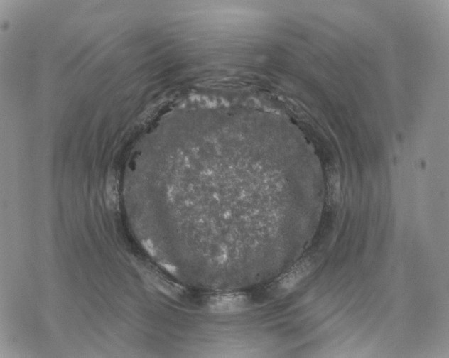 X0000070340274200606301748