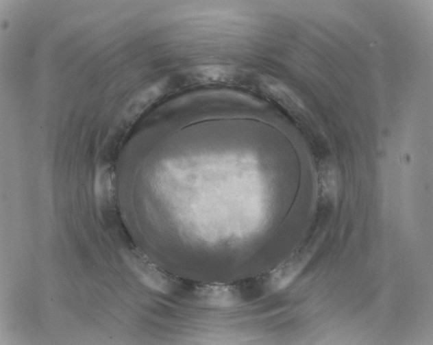 X0000070340276200606301748