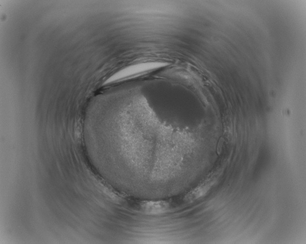 X0000070340277200606301748