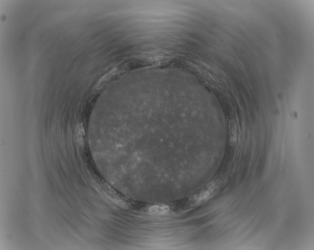 X0000070340279200606301748