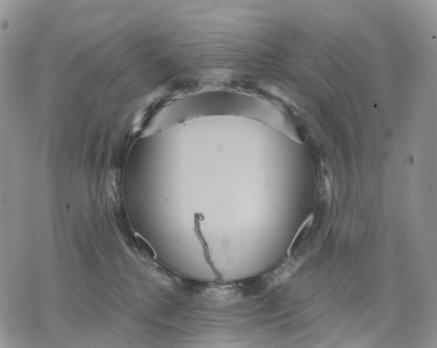 X0000070340280200606301748