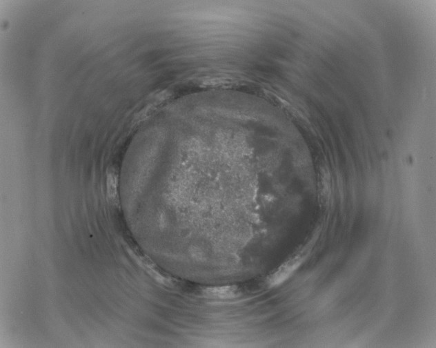 X0000070340281200606301748