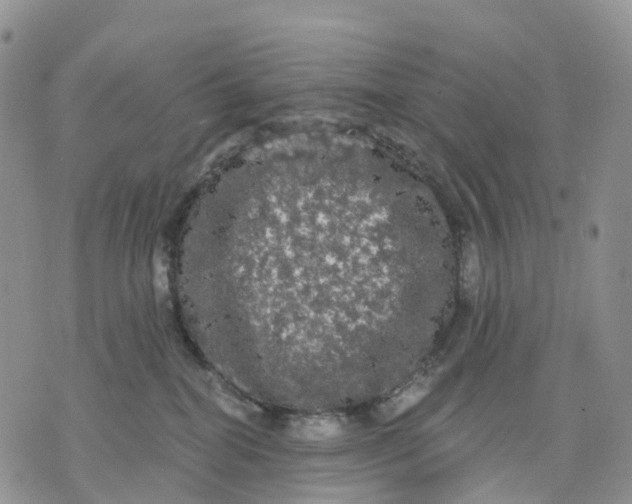 X0000070340282200606301748