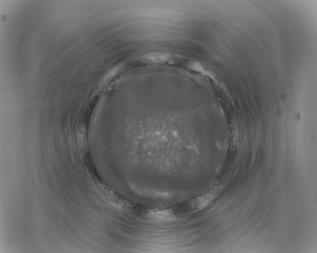 X0000070340283200606301748