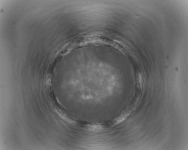 X0000070340284200606301748