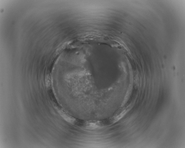 X0000070340285200606301748