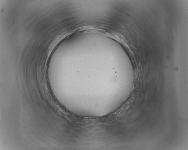 X0000070340289200606301748