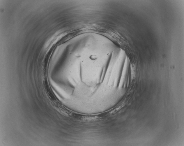 X0000070340291200606301748