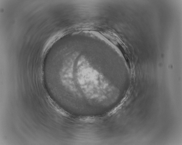 X0000070340293200606301747