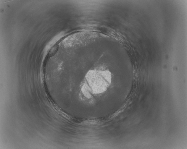 X0000070340294200606301747