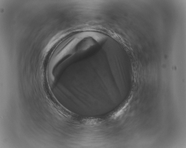 X0000070340295200606301747