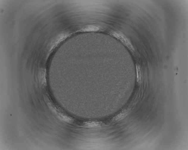 X0000070340300200606301747