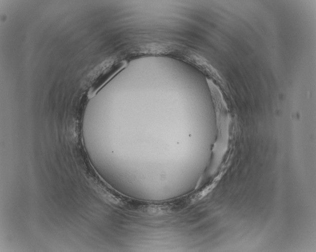 X0000070340305200606301747