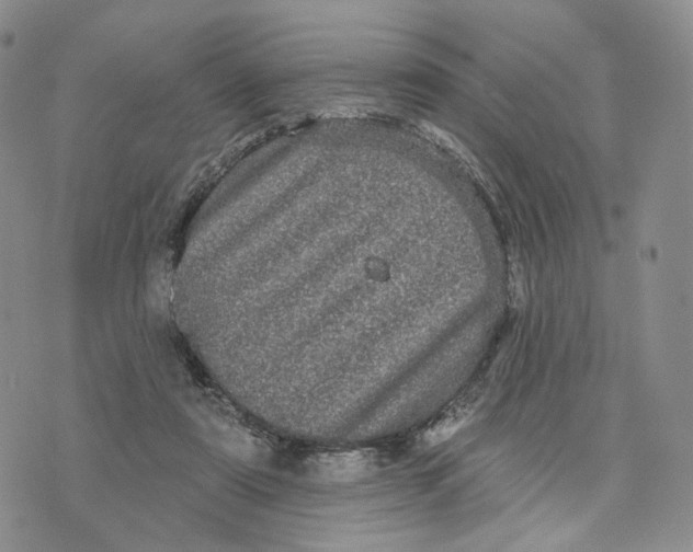 X0000070340307200606301747